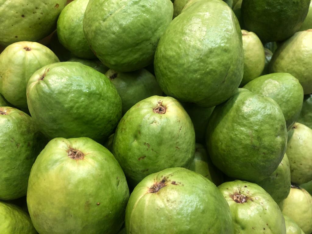 guayaba DomFrut
