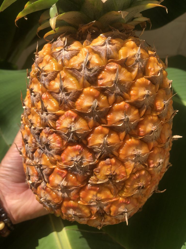 pineapple domfrut