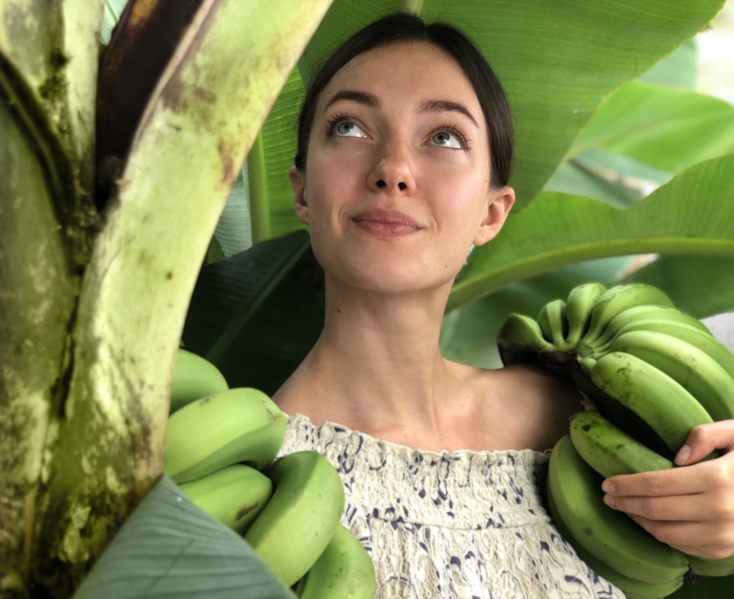Всё, что нужно знать о бананах